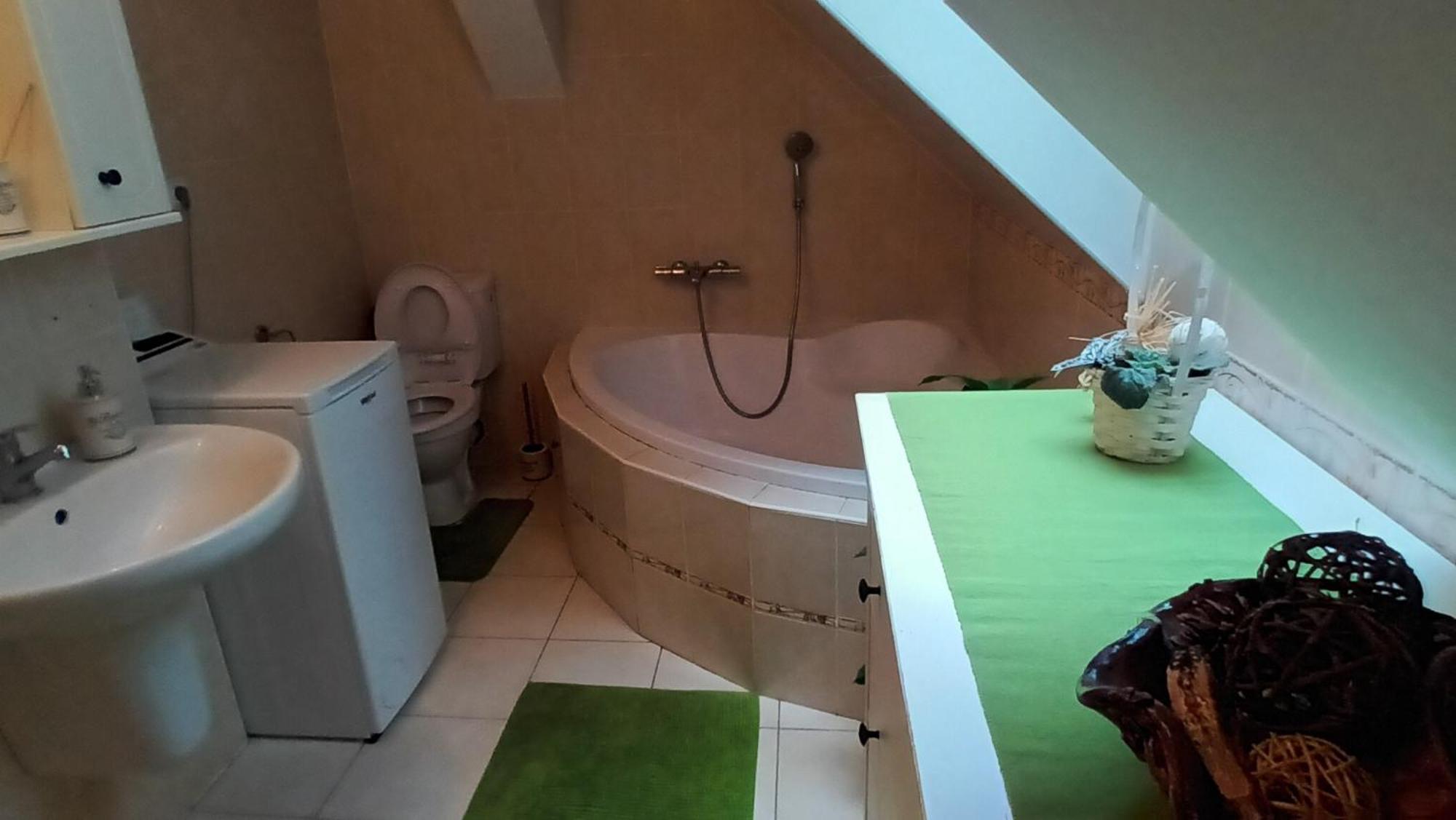 Apartmany Pod Putimskou Branou Písek Εξωτερικό φωτογραφία